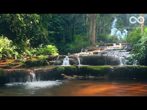 Flying: Sleep Music & Relaxing Nature Sounds In A Gorgeous Forest