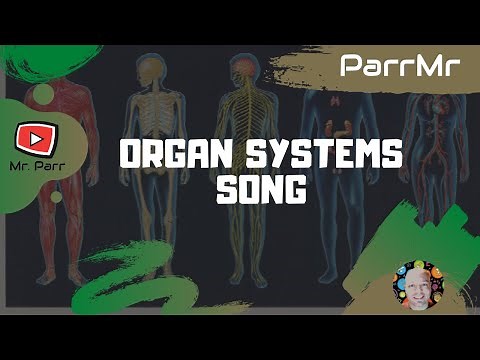 Organ Systems Song
