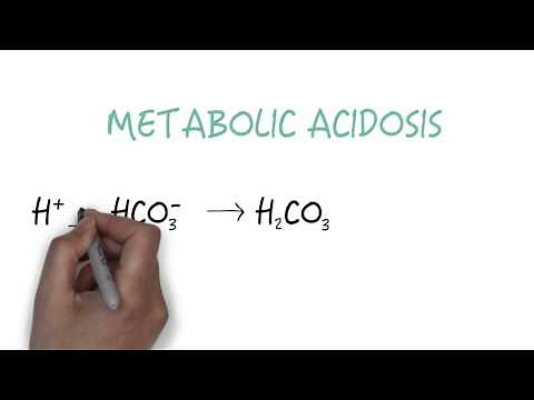 Bicarbonate - The Primary Buffer