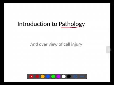 🔥Pathology Course - Lecture 1- Introduction To Pathology