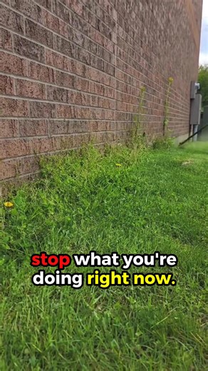 Why do landscapers never change their business insurance? ❌ It takes forever to get a quote ❌ You get bombarded by phone calls and spam emails ❌ Most business owners think it’s a long & difficult process to switch This new free tool solves all these problems. ✅ Takes 2 minutes to get started ✅ Compiles a list of all the top providers so you can pick the best rates ✅ Start saving in no time at all! Thousands of landscapers have already lowered their business insurance with this free tool. Click “