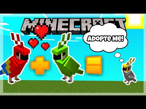 How To BREED PARROTS in Minecraft 2020 (Baby Parrots) Step by Step (Detailed) - Addon [Bedrock Only]