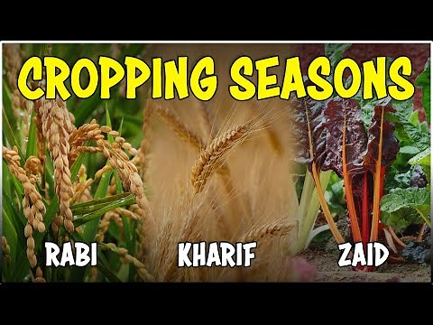 Major Cropping Seasons in India: Kharif, Rabi, and Zaid | Cropping Pattern