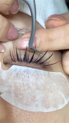 Winky Beauty Lash Extensions on Instagram: "Today’s eyelash extension video is here! Let’s immerse ourselves in the eyelash extension process. ✨Follow me to get more tips and knowledge of eyelash extensions✨ 🛒SHOP: https://www.winkybeautylashes.com/ #LashArtistTips #EyelashExtensions #LashCare #BeautyTips #LashTips #lashset #LashArtist #LashGoals #lalashextensions #bayarealashartist #oshawalashes #losangeleslashes #ajaxlashes #halifaxlashes #usalashes #phillylashtraining #atllashes #lashtechs #