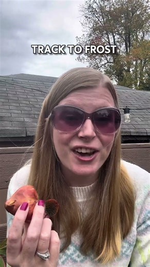 The Best Time To Plant Tulips Might Surprise You