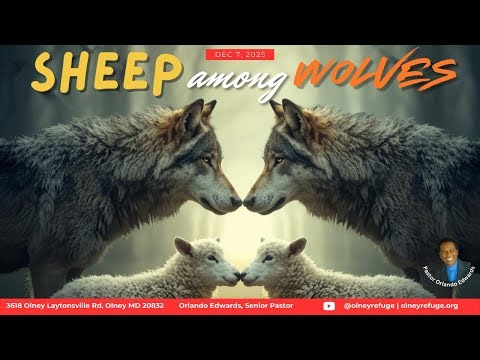 Sheep Among Wolves | Pastor Orlando Edwards