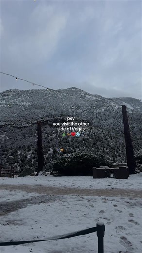 Exploring the Hidden Gems of Mt. Charleston