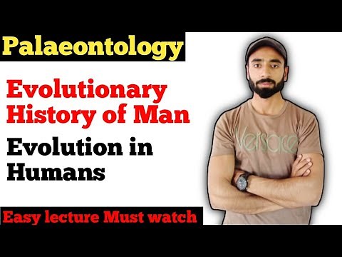 Evolutionary History of Man | Evolution in human | main Stages| Humans|Evolution ‪@AsimZoologist‬