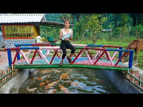 Fishing in Small Stream with Trawl Net | Disinfect Pond & Harvest Big Squash to Sell