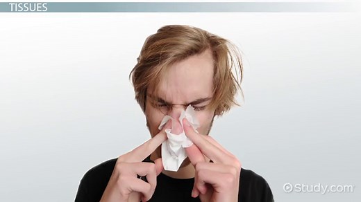 Types of Animal Tissue | Definition, Functions & Structures