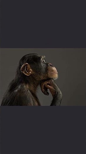 lua ❤️ #programação #dev