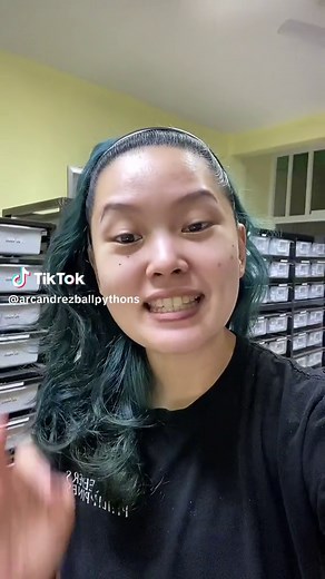 Male or Female Ball Python: How to Identify Gender Differences