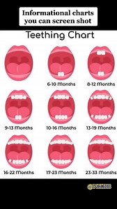 1.3M views · 6.3K reactions | Teething Cycles of BABY : Teething is...