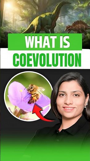 What Is Coevolution? #neetbiology #neet2025 #riturattewal #coevolution
