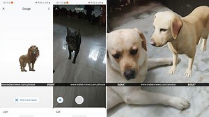 Google 3D Animals: How to see tiger, dog, birds in your living room on Android, iOS