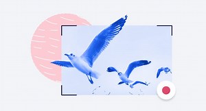 The 9 Best Screen Recorders for Windows PC and Mac