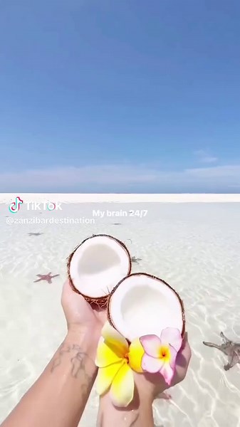 Zanzibar Island 🐚🏖️🥥 5 DAYS ZANZIBAR ISLAND EXCURSION PACKAGE HIGHLIGHTS *Day one* ▪️Mnemba island Half day Trip (Dolphins & Snokeling) *Includings* Transfer from/to hotel Relax on the sandbank Seafood lunch etc Soft drinks Fresh fruits Entrance fees Boat fees *Day 2* ▪️Prison island, Stone town & Spice farm Tour *Including* Local lunch etc Transfer from/to hotel Sunset at Forodhani Park. Forodhani night food market Guiding fees Entrance fees *Day 3* ▪️Swimming with turtles & Sunset cruise *I