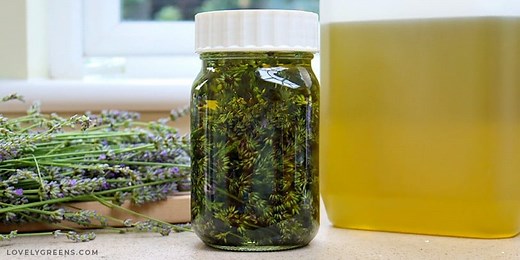 How To Make Lavender Oil: A Step By Step Guide