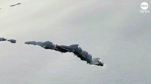 Pack of wolves tunnel through heavy snow in China