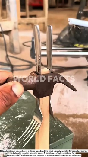 Smart DIY Hack Using Forks and a Hammer – Simple Woodworking Trick!