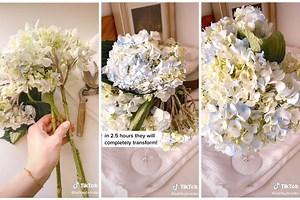 How to Revive the Wilting Hydrangeas in Your Bouquet