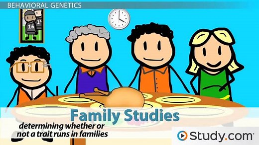 Personality & Genetics | Overview & Examples