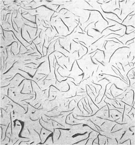 Iron Types (page 1), Gray & Ductile Irons - Metal Casting Institute