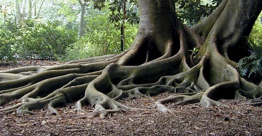 Root Cause Analysis - Mindtools