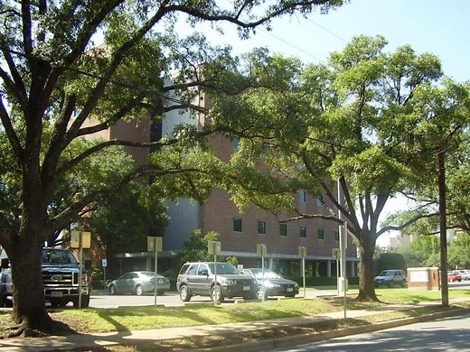 Age To Get A Texas ID (Types   Application)