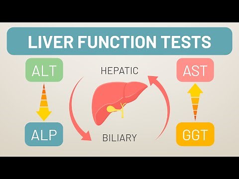 Liver Function Tests Explained | ALT, AST, ALP & GGT