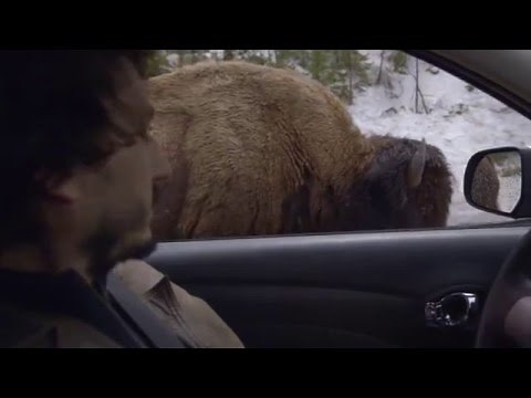 Population Zero Trailer HD