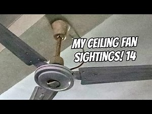 My ceiling fan sightings! 14