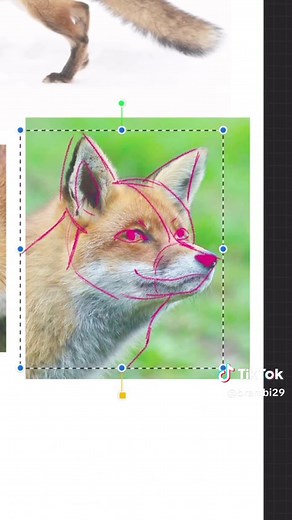 Learn How to Draw Animals with Simple Techniques