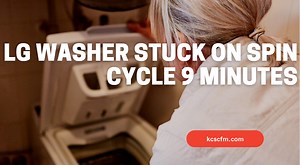 オールドノリタケ★染付　薔薇の絵柄　電笠★日陶