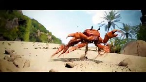Crab Rave Animated Gif Maker - Piñata Farms - The best meme generator and meme maker for video & image memes