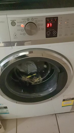 Troubleshooting Fisher & Paykel Washing Machine Error 37