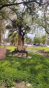 25K views · 277 reactions | Millions of People Pass By This Casino, But Never Go Inside | Jacobs Life in Vegas | Facebook