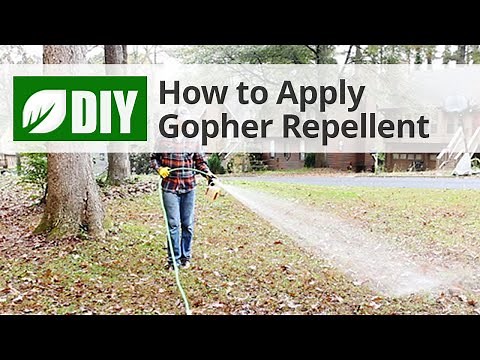 How to Apply Gopher Repellent | DoMyOwn.com
