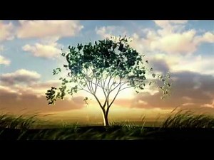 Tree Growing Animation