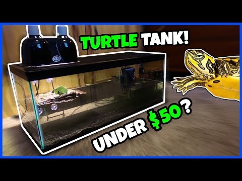 CHEAPEST WAY To Set Up A TURTLE TANK!