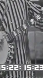 30K views · 1K reactions | Stringbean - Run Little Rabbit Run #bluegrass #banjo #stringbean | World Bluegrass Day | Facebook