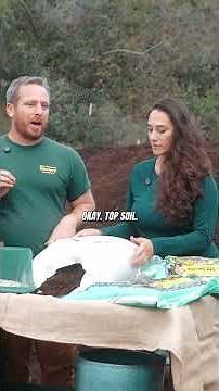 Potting Soil vs Topsoil