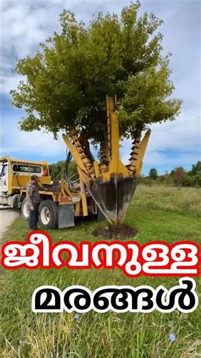 ഇനി മരങ്ങൾ മാറ്റാം | Tree Spading