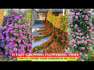 17 Fast-Growing Flowering Vines That’ll Cover Your Garden in No Time!