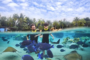 Things to Do in Orlando | Theme Parks, Attractions & Activities