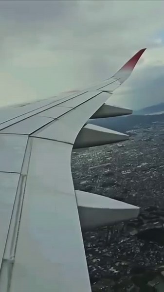 How A350 Flaps Work | Flaps 2 Takeoff and Retraction