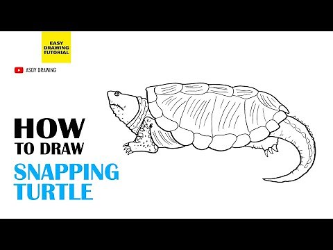 How to Draw Snapping Turtle