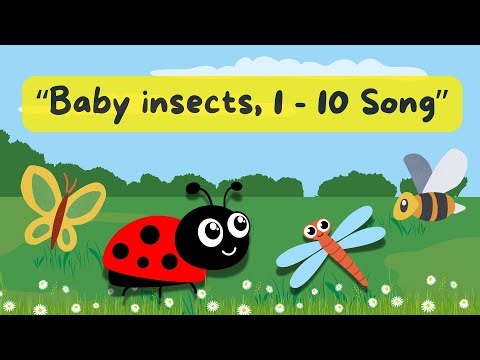 Baby Insects 1 to 10 Song | Learn Numbers with Cute Bugs | BooBooABC #insectsforkids #insectsong