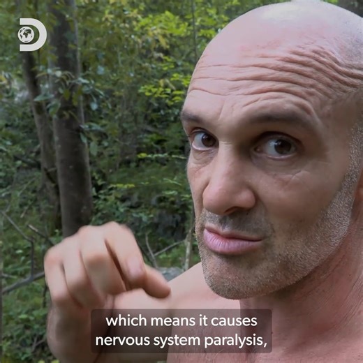 1.7M views · 24K reactions | Failing to make a fire isn’t an option for Ed Stafford...especially with a king cobra nearby!  #Marooned | Discovery Channel UK | Facebook