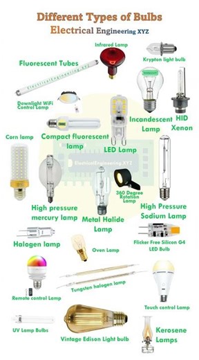 Different Types of Bulbs